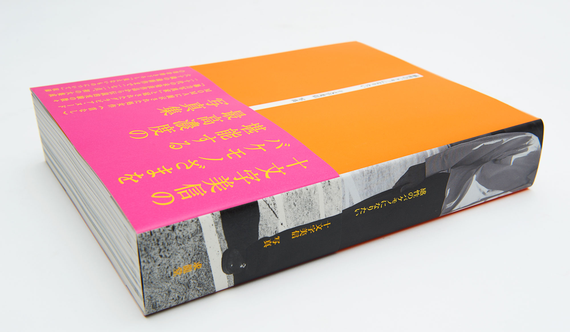 Client / BISHIN JUMONJI　Media / Book Creative Director / Bishin Jumonji　Art Director / Michihiro Ishizaki　 Designer / Koichi Sugiyama　Photographer / Bishin Jumonji