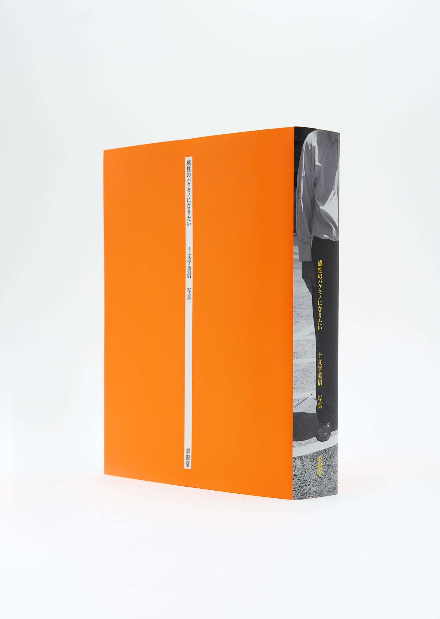 Client / BISHIN JUMONJI　Media / Book Creative Director / Bishin Jumonji　Art Director / Michihiro Ishizaki　 Designer / Koichi Sugiyama　Photographer / Bishin Jumonji